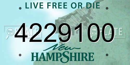 4229100 New Hampshire License Plate