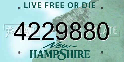 4229880 New Hampshire License Plate