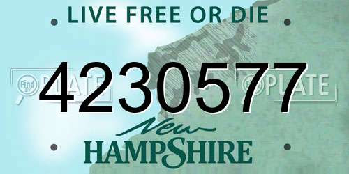 4230577 New Hampshire License Plate