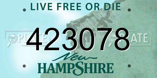 423078 New Hampshire License Plate