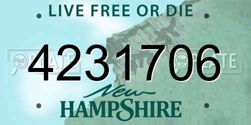 4231706 New Hampshire License Plate