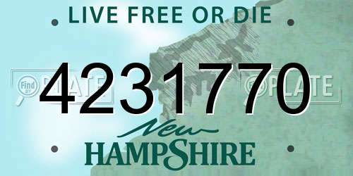 4231770 New Hampshire License Plate