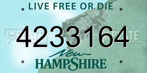 4233164 New Hampshire License Plate