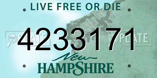 4233171 New Hampshire License Plate