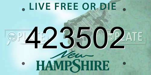 423502 New Hampshire License Plate