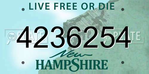 4236254 New Hampshire License Plate