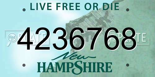 4236768 New Hampshire License Plate