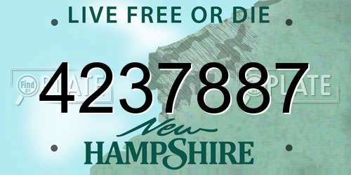 4237887 New Hampshire License Plate
