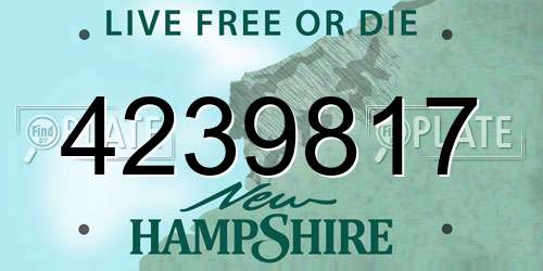 4239817 New Hampshire License Plate