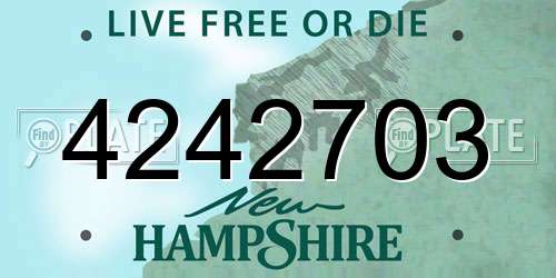 4242703 New Hampshire License Plate