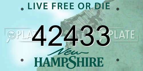 42433 New Hampshire License Plate