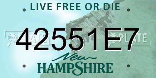 42551E7 New Hampshire License Plate