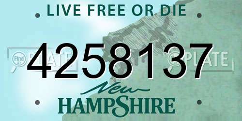 4258137 New Hampshire License Plate