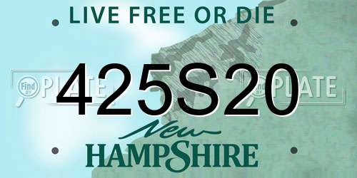 425S20 New Hampshire License Plate
