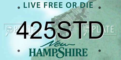 425STD New Hampshire License Plate