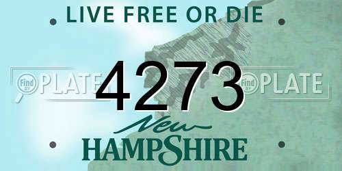 4273 New Hampshire License Plate