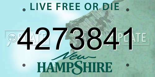 4273841 New Hampshire License Plate