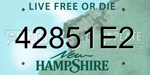 42851E2 New Hampshire License Plate