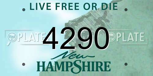 4290 New Hampshire License Plate