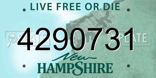 4290731 New Hampshire License Plate