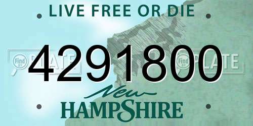 4291800 New Hampshire License Plate