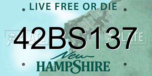 42BS137 New Hampshire License Plate