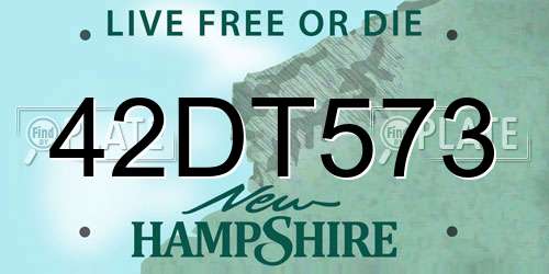 42DT573 New Hampshire License Plate