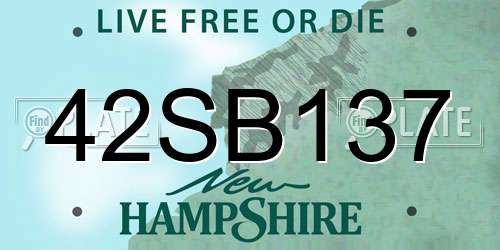 42SB137 New Hampshire License Plate