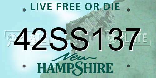 42SS137 New Hampshire License Plate