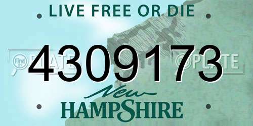 4309173 New Hampshire License Plate