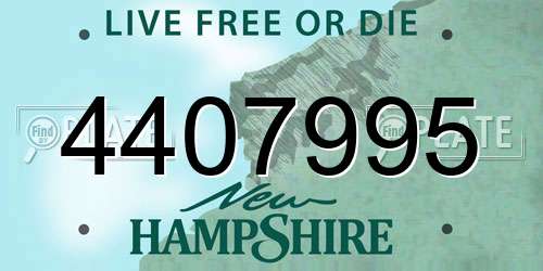 4407995 New Hampshire License Plate