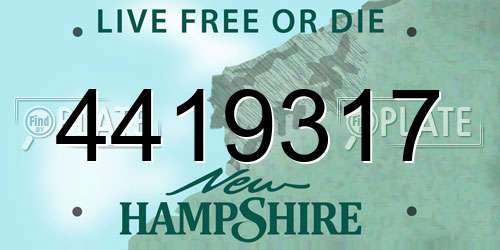 4419317 New Hampshire License Plate
