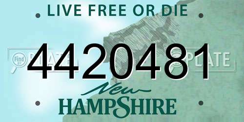 4420481 New Hampshire License Plate