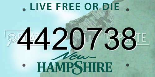 4420738 New Hampshire License Plate