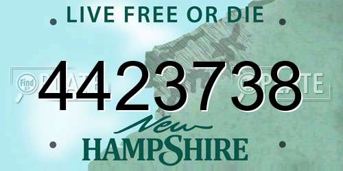 4423738 New Hampshire License Plate
