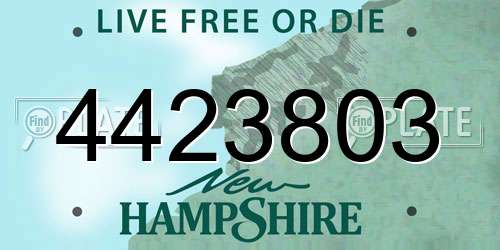 4423803 New Hampshire License Plate