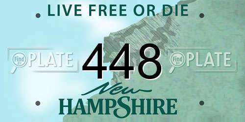 448 New Hampshire License Plate