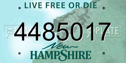 4485017 New Hampshire License Plate