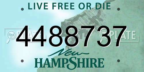 4488737 New Hampshire License Plate