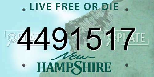 4491517 New Hampshire License Plate