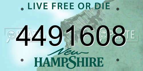 4491608 New Hampshire License Plate
