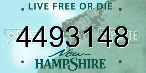 4493148 New Hampshire License Plate