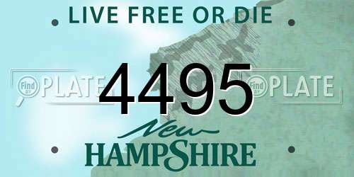 4495 New Hampshire License Plate