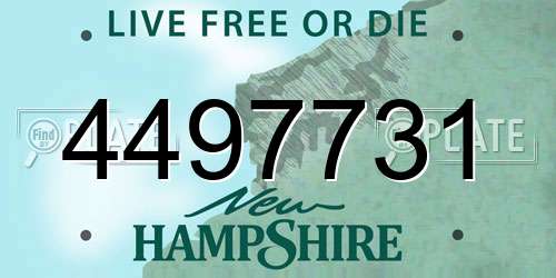 4497731 New Hampshire License Plate