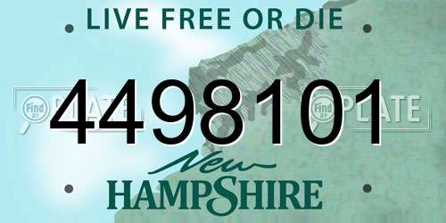 4498101 New Hampshire License Plate