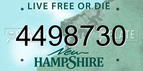 4498730 New Hampshire License Plate