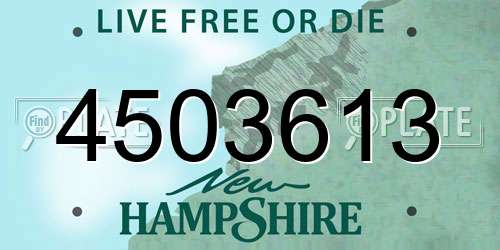 4503613 New Hampshire License Plate
