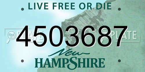 4503687 New Hampshire License Plate