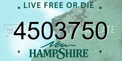 4503750 New Hampshire License Plate