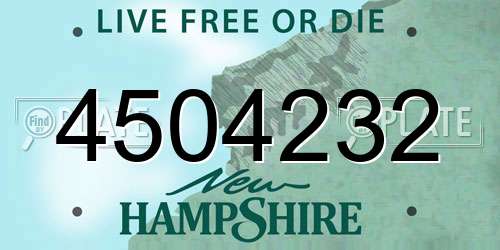 4504232 New Hampshire License Plate